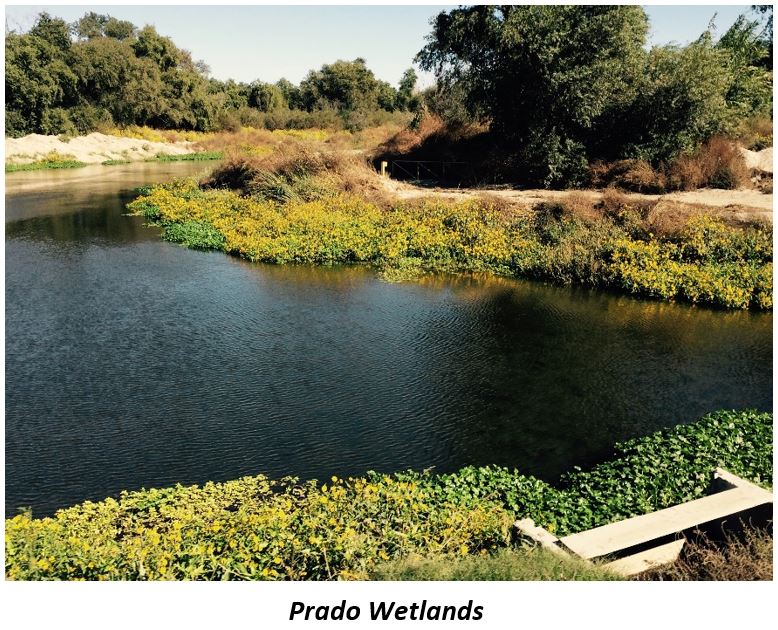 Prado Wetlands