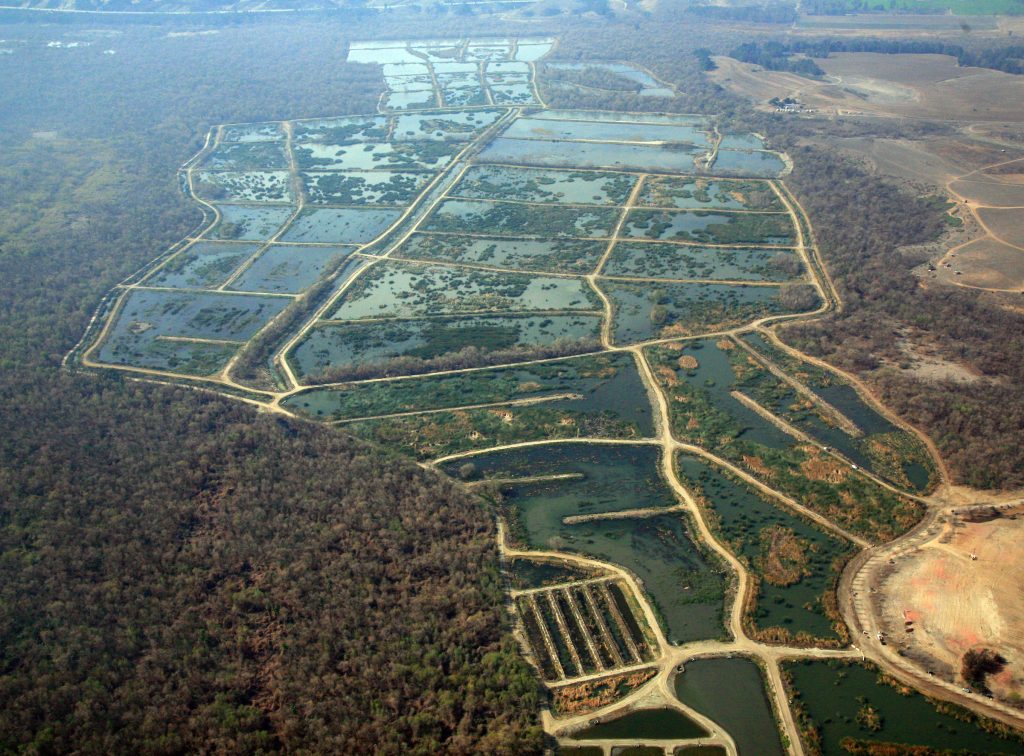 Aerial view of Prado wetlands ponds