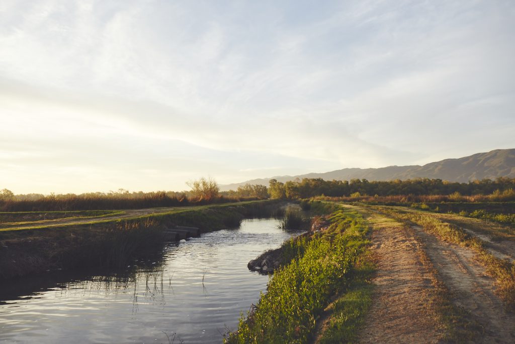 Trail along Prado wetlands