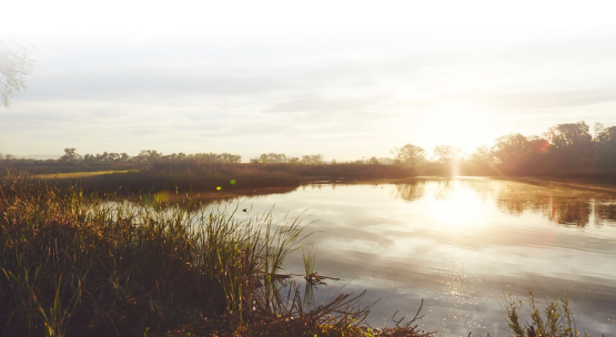 Prado wetlands at sunrise